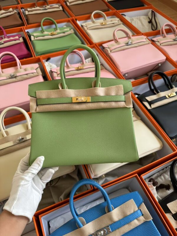 mmexport1729502677936-1 USA Los Angeles Hermes Epsom Leather Birkin 25CM 3I Criquet Gold Hardware