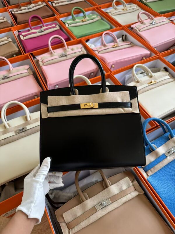 mmexport1729502687277-1 Taiwan Hermes Birkin Sellier 25CM Box Leather CK89 Noir Gold Hardware