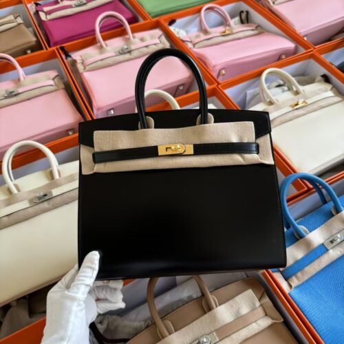Taiwan Hermes Birkin Sellier 25CM Box Leather CK89 Noir Gold Hardware