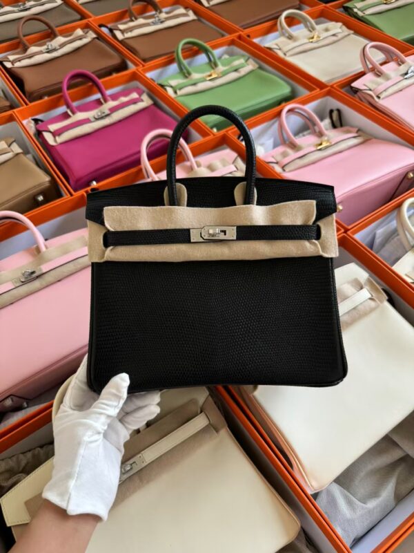 mmexport1729507036876-1 Hermes Lizard Leather CK89 Noir Birkin 25CM Silver Hardware