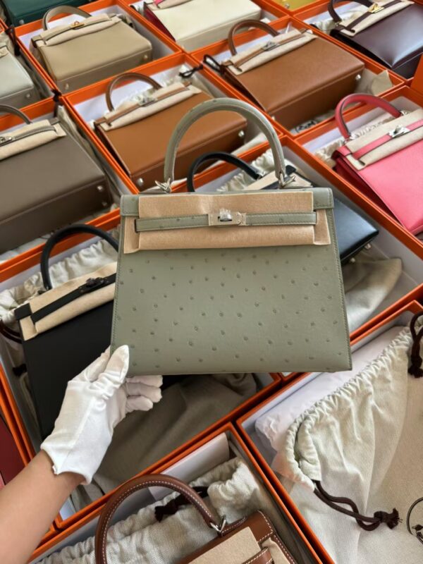 mmexport1729587401626-1 Canada Toronto Hermes Ostrich Leather Kelly Sellier 25CM 8U Blue Glacier Silver Hardware