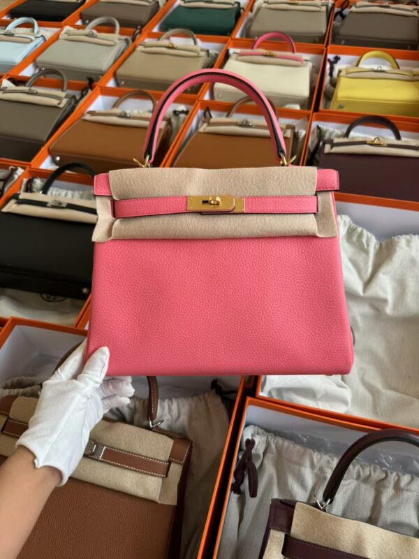 mmexport1729587421912-1 Hermes Kelly 28 Bag Images Clemence Leather 8W Rose Azelee Gold Hardware