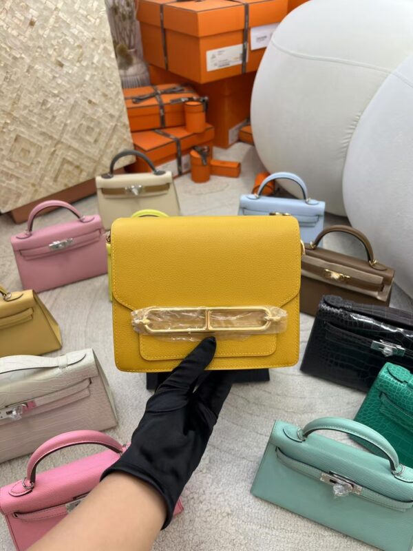 mmexport1730272046027-1 Canada Ottawa Hermes Roulis Mini 18cm Evercolor Leather 9D Amber Gold Hardware