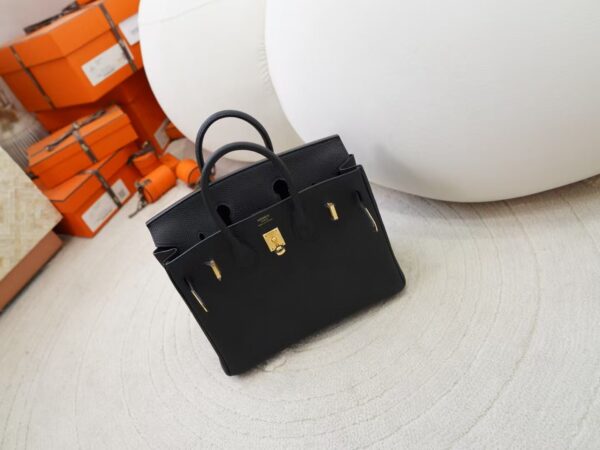 mmexport1730880088612 Canada Ottawa Hermes Birkin 25CM Togo Leather CC89 Noir Gold Hardware