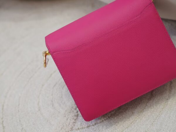 mmexport1730880161587 Hermes Roulis Mini 18CM Evercolor Leather 0D Rose Mexico Gold Hardware