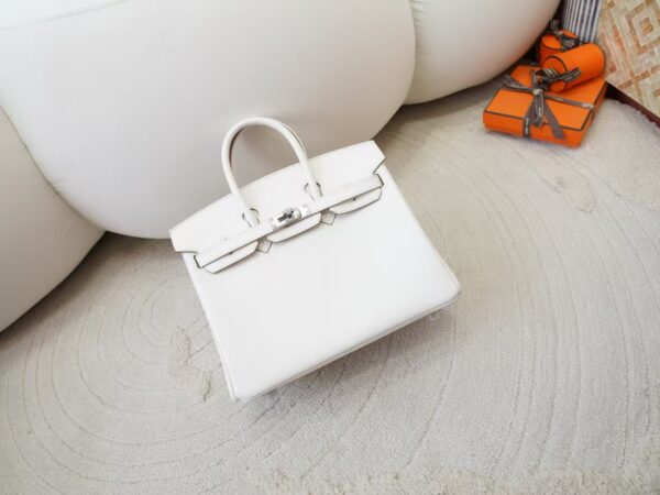 mmexport1730966309793-1 UK London Hermes Birkin 25CM Swift Leather 0T Mushroom Silver Hardware