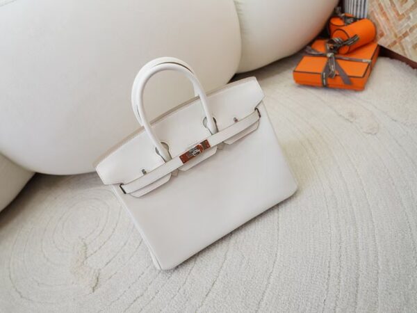 mmexport1730966311585 UK London Hermes Birkin 25CM Swift Leather 0T Mushroom Silver Hardware
