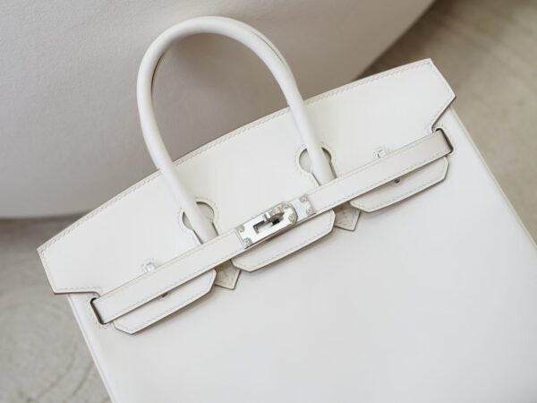 mmexport1730966315244 UK London Hermes Birkin 25CM Swift Leather 0T Mushroom Silver Hardware