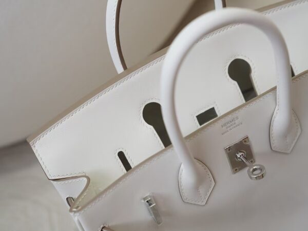 mmexport1730966320298 UK London Hermes Birkin 25CM Swift Leather 0T Mushroom Silver Hardware