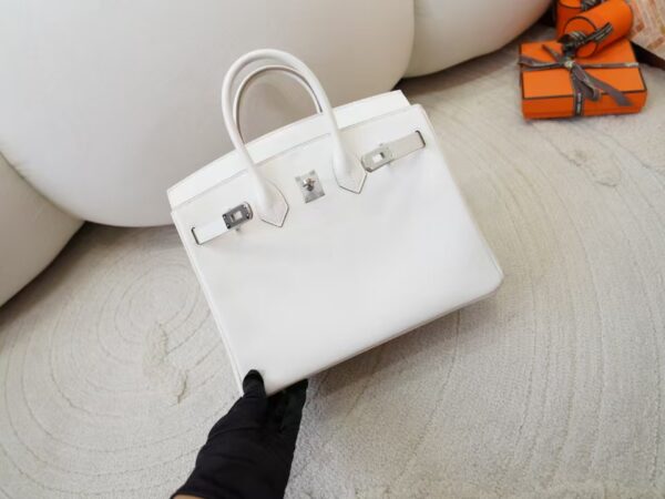 mmexport1730966321991 UK London Hermes Birkin 25CM Swift Leather 0T Mushroom Silver Hardware