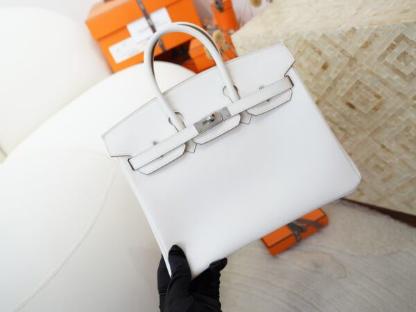 mmexport1730966323884 UK London Hermes Birkin 25CM Swift Leather 0T Mushroom Silver Hardware
