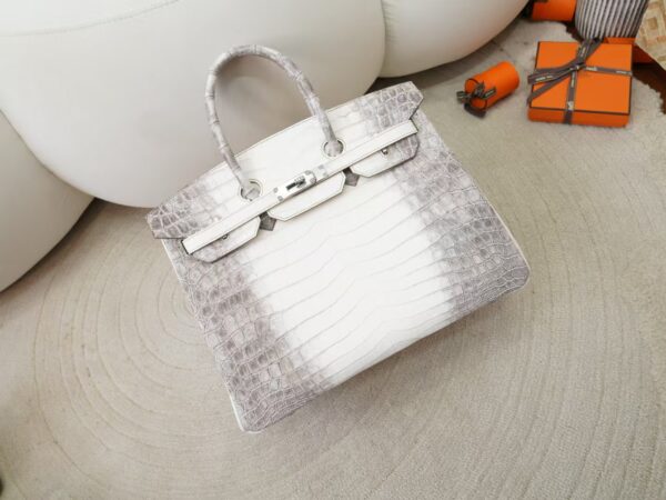 mmexport1731483406527-1 Women’s Tote Bag Himalaya Matte Crocodile Birkin 35CM Silver Hardware