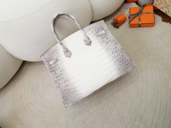 mmexport1731483408172 Women’s Tote Bag Himalaya Matte Crocodile Birkin 35CM Silver Hardware