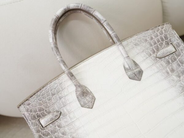 mmexport1731483411559 Women’s Tote Bag Himalaya Matte Crocodile Birkin 35CM Silver Hardware
