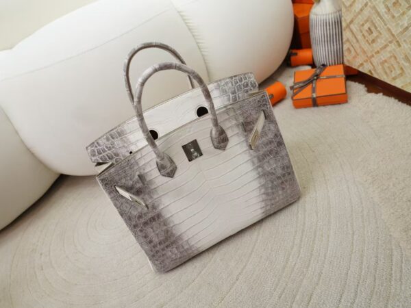 mmexport1731483419602 Women’s Tote Bag Himalaya Matte Crocodile Birkin 35CM Silver Hardware