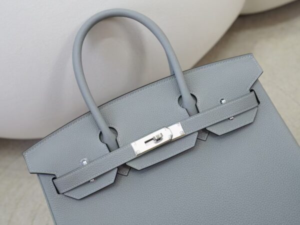 mmexport1734508356400 Women’s Tote Bag Birkin 30CM Togo Leather 4Z Gris Mouette Silver Hardware