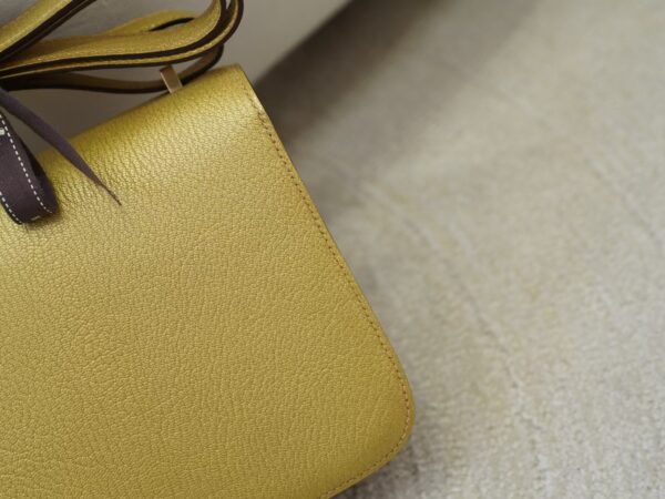 mmexport1735888609586 Women’s Shoulder Bag Chevre Leather Y9 Dore Constance 19CM Light Gold Hardware