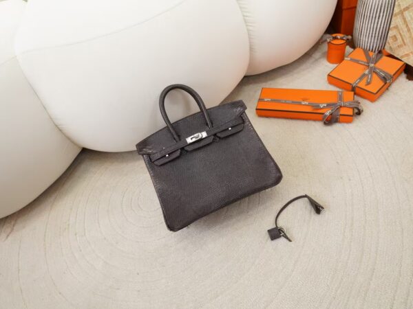 mmexport1744094924428-1 USA New York Hermes Lizard Leather Birkin 25CM CK46 Ebene Silver Hardware