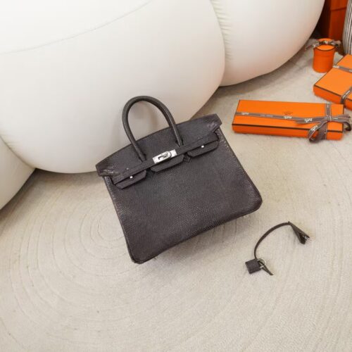 USA New York Hermes Lizard Leather Birkin 25CM CK46 Ebene Silver Hardware