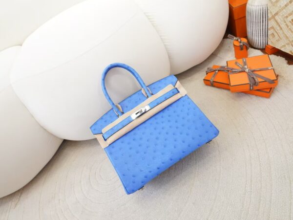 mmexport1744179769874-1 USA New York Birkin 30CM South Africa KK Ostrich O7 Bleuet Silver Hardware