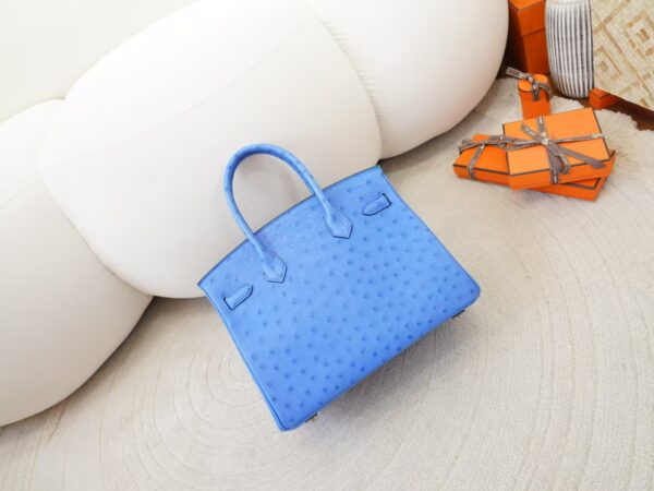 mmexport1744179773145 USA New York Birkin 30CM South Africa KK Ostrich O7 Bleuet Silver Hardware