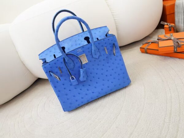 mmexport1744179774834 USA New York Birkin 30CM South Africa KK Ostrich O7 Bleuet Silver Hardware