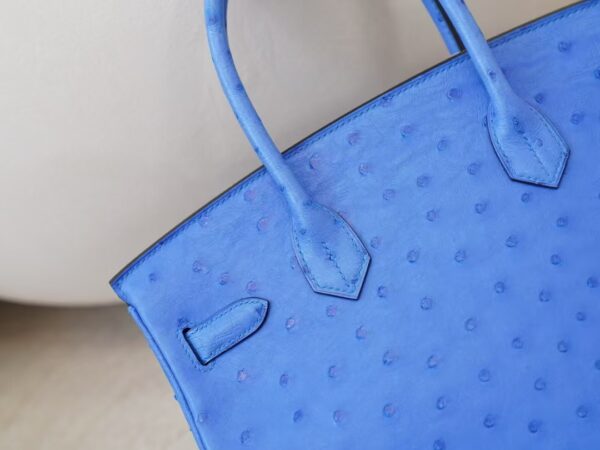 mmexport1744179778272 USA New York Birkin 30CM South Africa KK Ostrich O7 Bleuet Silver Hardware