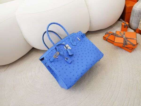 mmexport1744179783591 USA New York Birkin 30CM South Africa KK Ostrich O7 Bleuet Silver Hardware