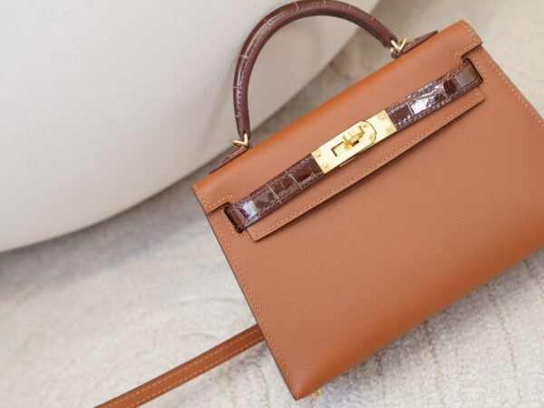 mmexport1744615123748 Hermes Mini Kelly Touch 19CM 37 Gold Madame / 33 Miel Shiny Crocodile Gold Hardware
